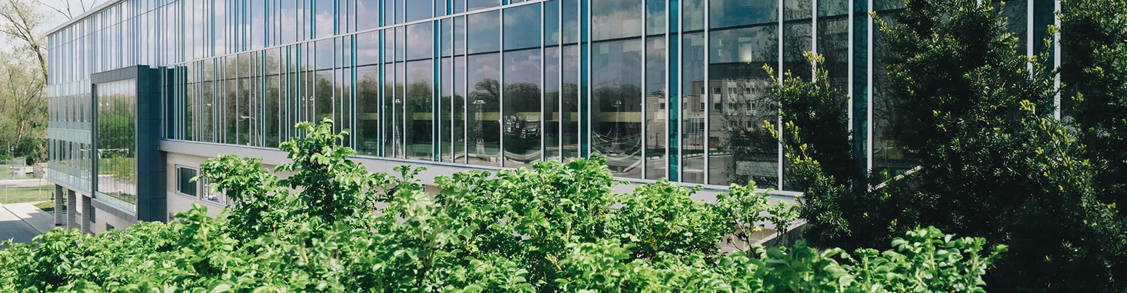 麗光科技股份有限公司