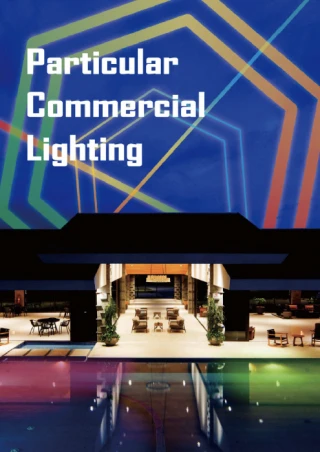 麗光科技股份有限公司