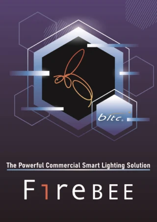 麗光科技股份有限公司